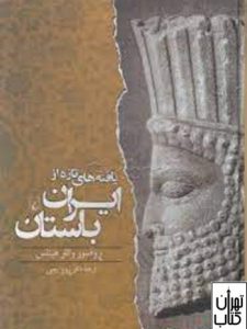 کتاب یافته هایی تازه از ایران باستان